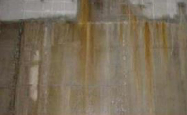bwm_02