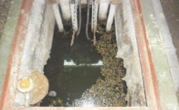 bwm_04